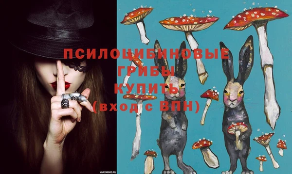 PSILOCYBIN Гусиноозёрск